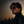 The Gambler